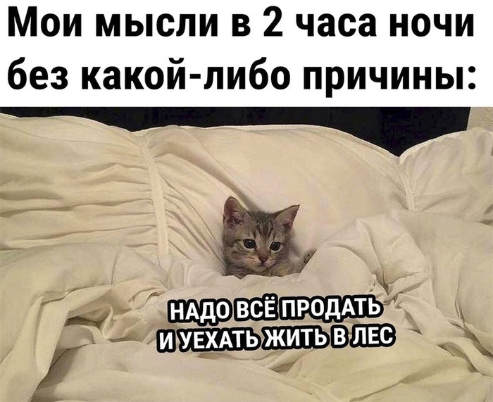 Что я думала в гипертиреозе