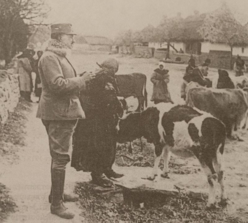 Австрийский офицер регистрирует скот для отправки в Австрию.