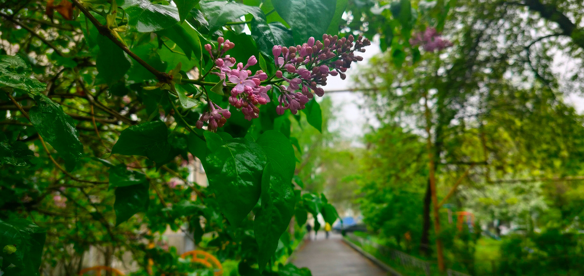 Некоторые говорят о преданности, но при этом преуспевают в предательстве Амор Абасси