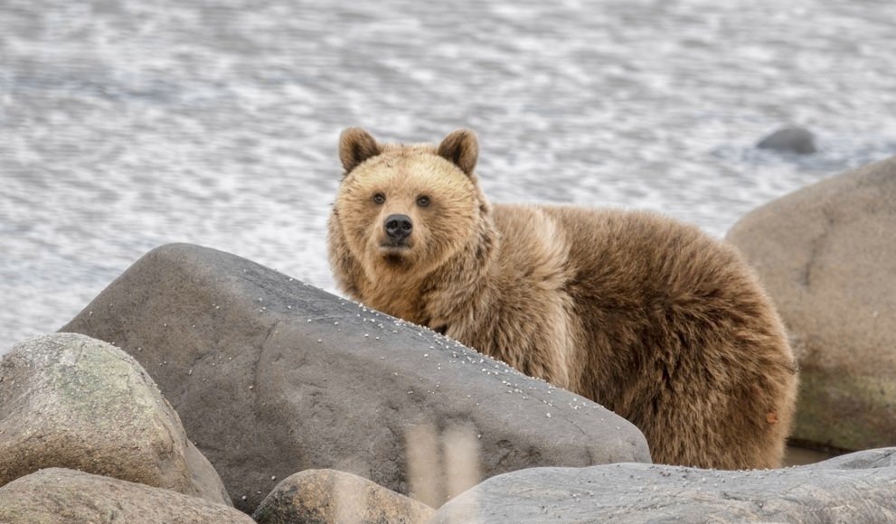    Фото: пресс-служба Минприроды РФ