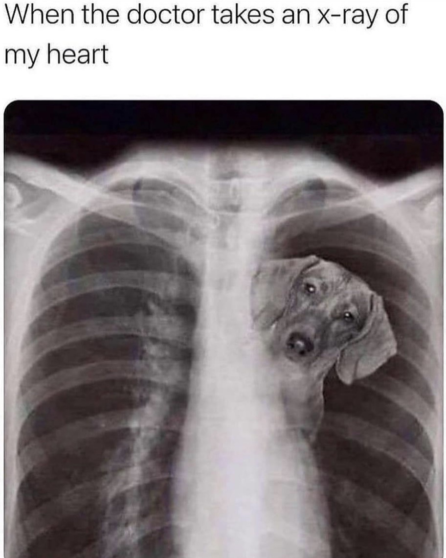 Мем с просторов интернета.