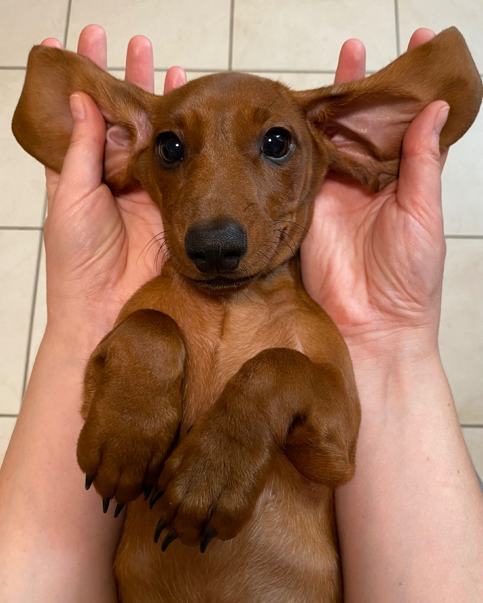 Фото автора.