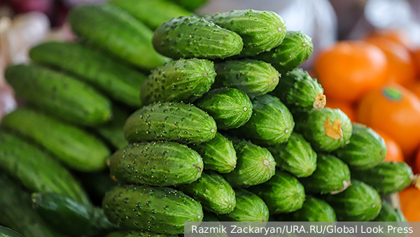     Фото: Razmik Zackaryan/URA.RU/Global Look Press   
 Текст: Алексей Дегтярев