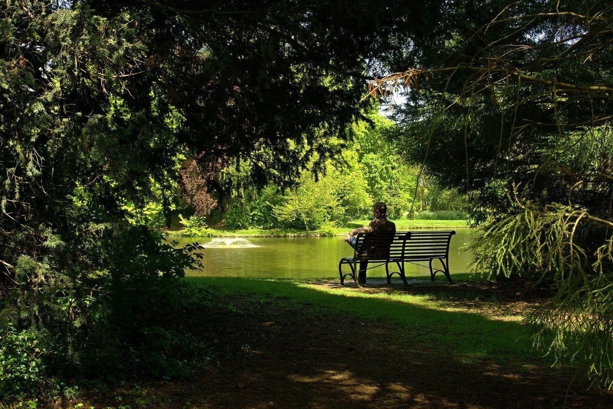 Изображение из открытых источников