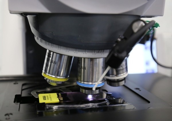 Фото: РИА Новости/ Кирилл Брага