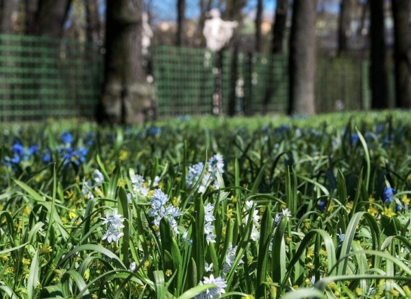 Фото: РИА Новости/ Алексей Даничев