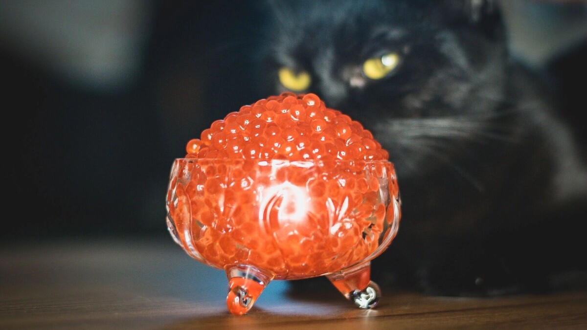     Источник: 1MI