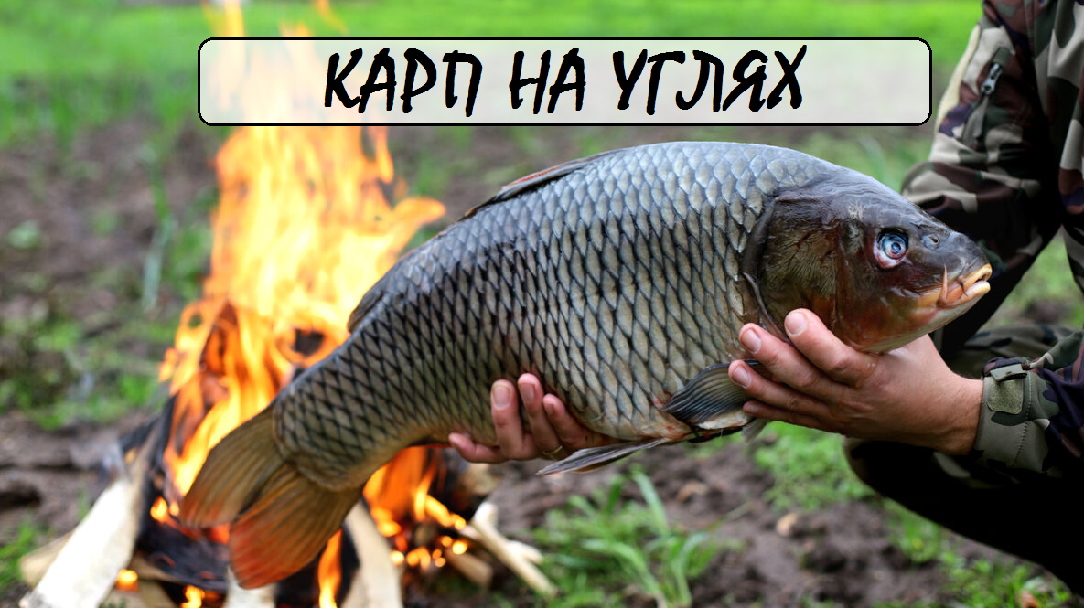 🔍 Ключевые слова для поиска: карп на углях, уличное блюдо из карпа, рецепт карпа на костре, как приготовить карпа на природе, рыбалка и кулинария, блюда из свежей рыбы.