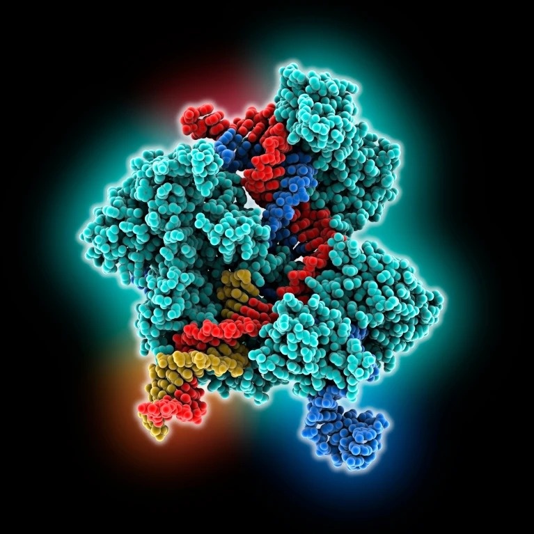     Иллюстрация: Laguna Design / Science Photo Library