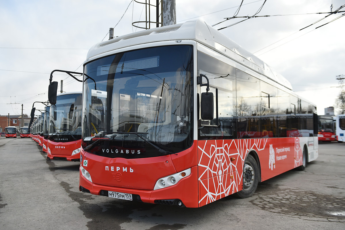    © Константин Долгановский