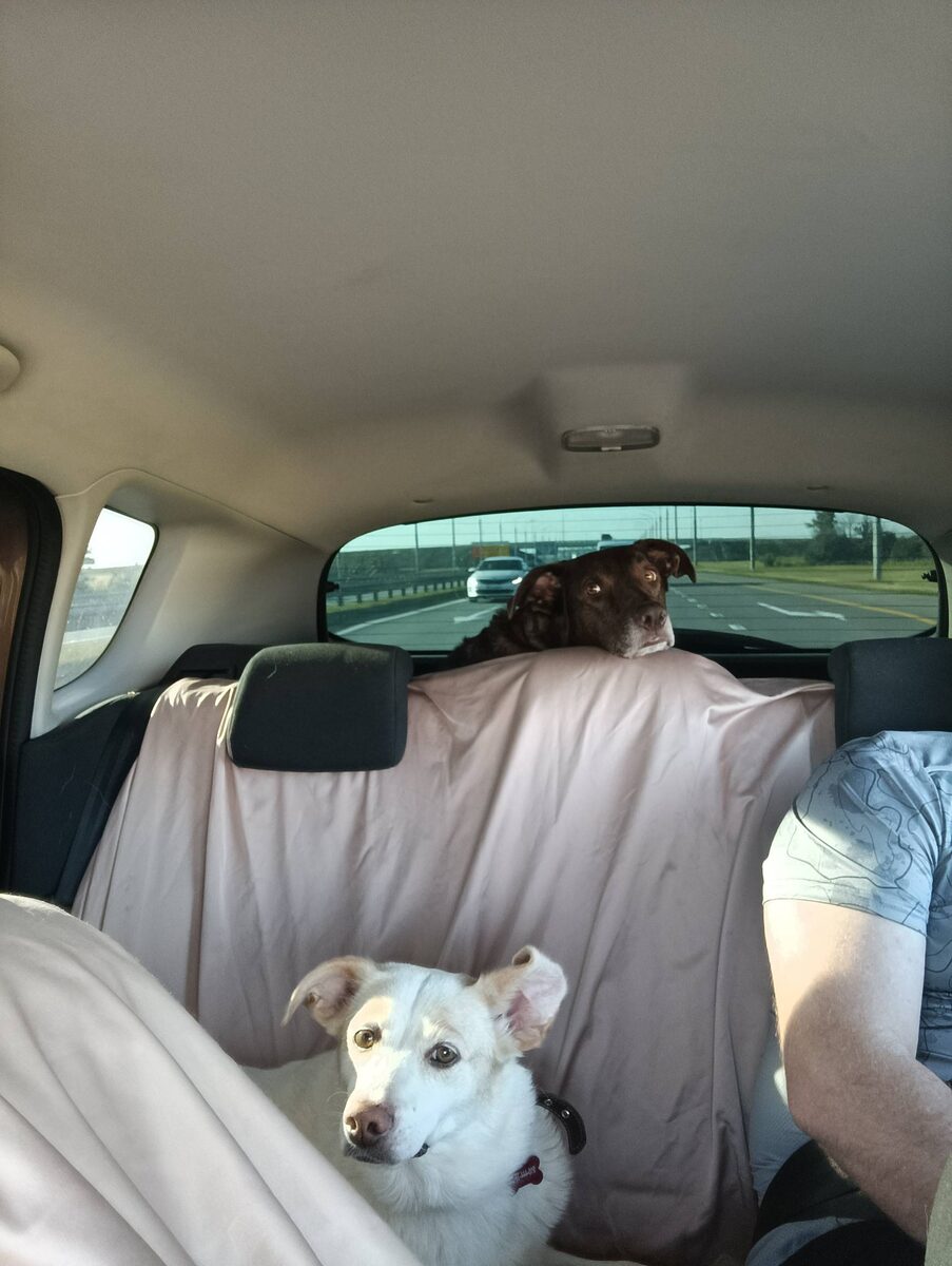 Что-то интересненькое намечается