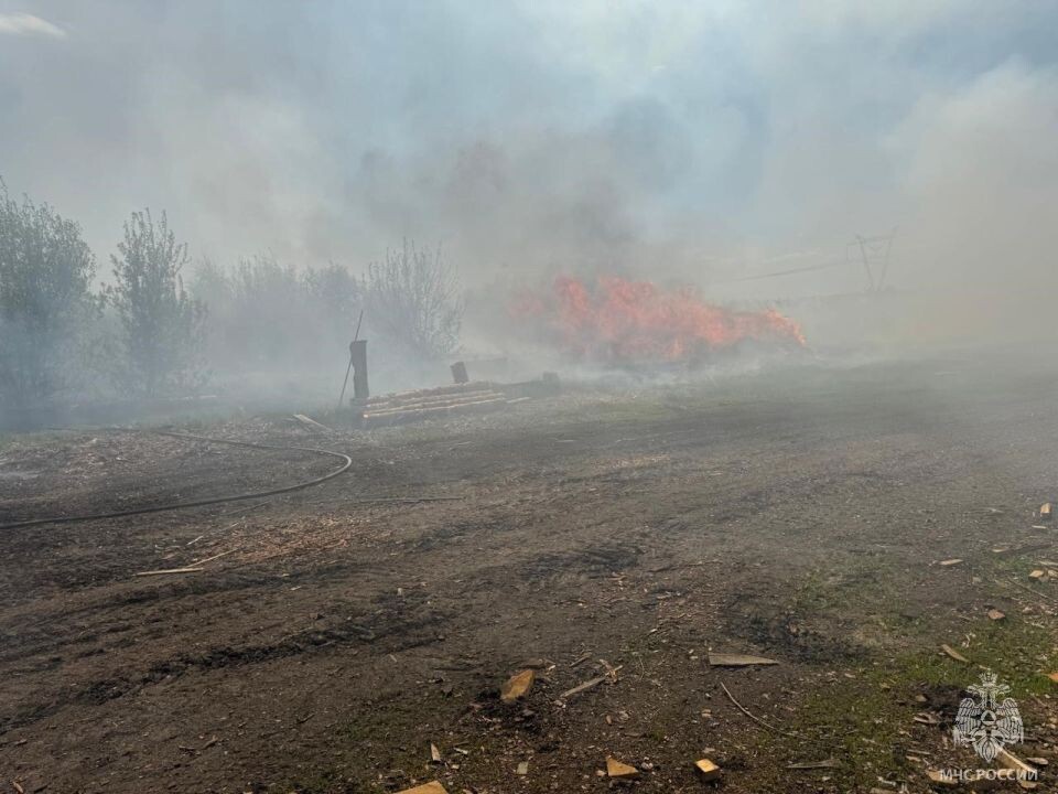    Пожар на пилораме. Источник: МЧС Алтайского края