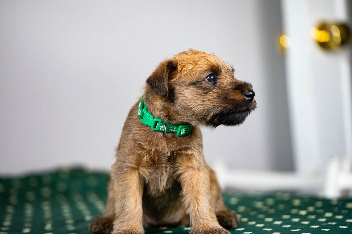 В возрасте 1 месяц