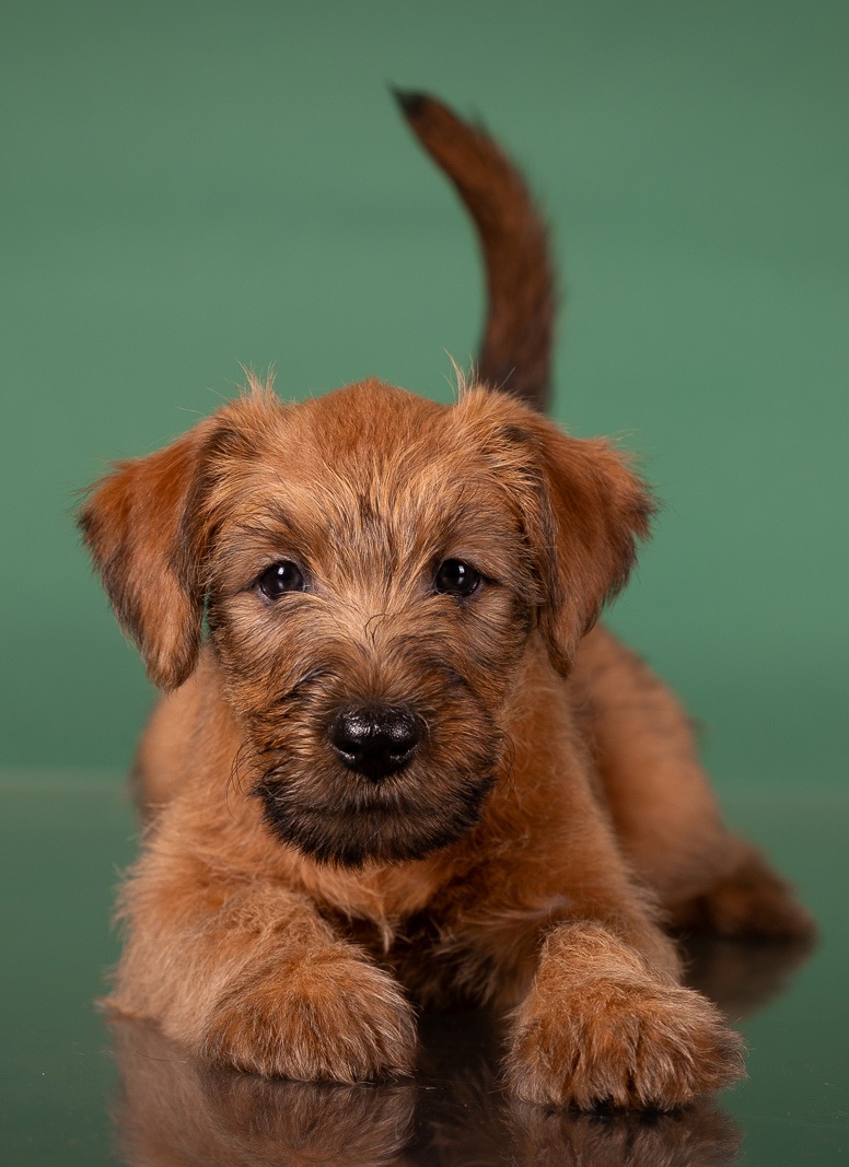 Почти 2 месяца