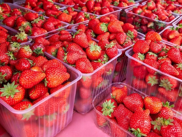    Фото: Москва 24/Максим Денисов