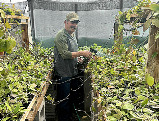 Майк Бернардо (Mike Bernardo) (фото: Stemma Journal 6(1) 2024)