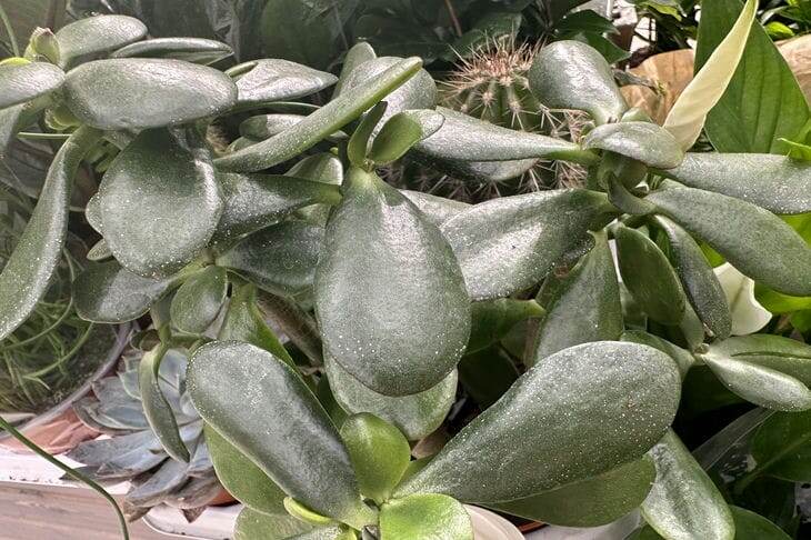 Фото: ТУТ НЬЮС