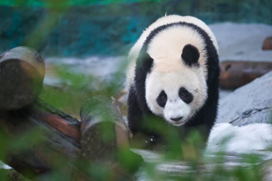    Алексей Белкин/NEWS.ru