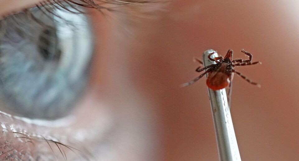    РИА «Новости»