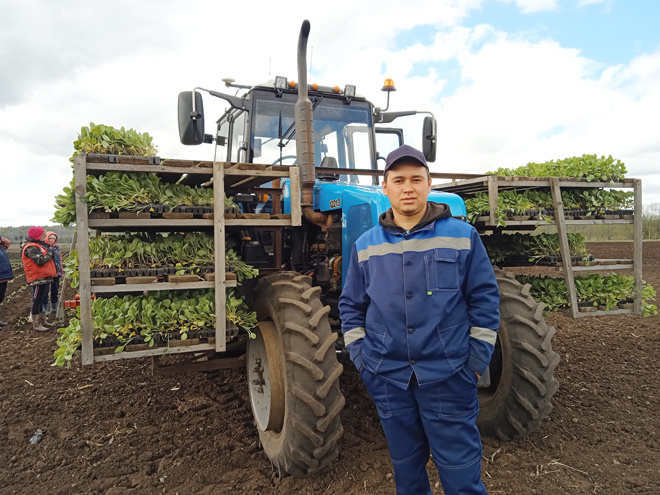 Тракторист и одновременно водитель рассадопосадочной машины, житель деревни Баташи Адис Сулейманов уже наработал опыт в овощеводстве - пятый год трудится в хозяйстве