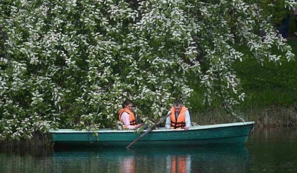     Люди плавают на лодке. Источник: kp.ru Автор фото: Алексей Булатов