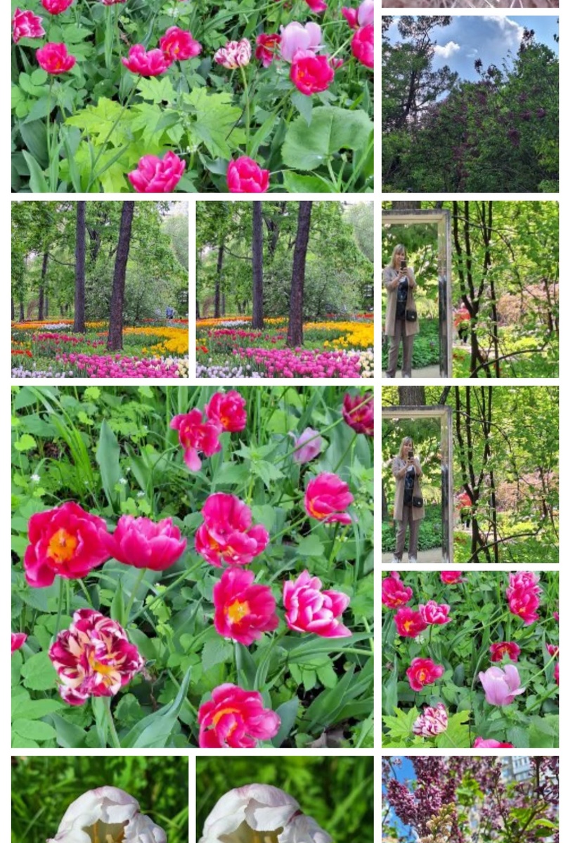 Фотоколлаж - собственность автора канала.