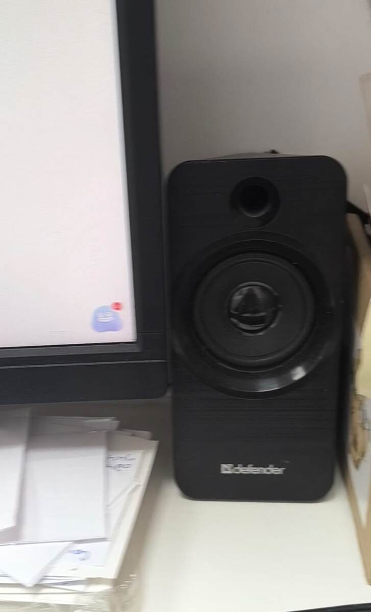 У нас стоят 2 самые простые колонки по обе стороны  от монитора.  Покупала я их за 800 рублей в 2022 году.  При покупке ориентировалась на  нагромкость и четкость звука, так что бы было слышно на складах номера ячеек. Площадь нашего ПВЗ 60 кв. по обе стороны от клиентской зоны где стоят колонки находятся склады. 