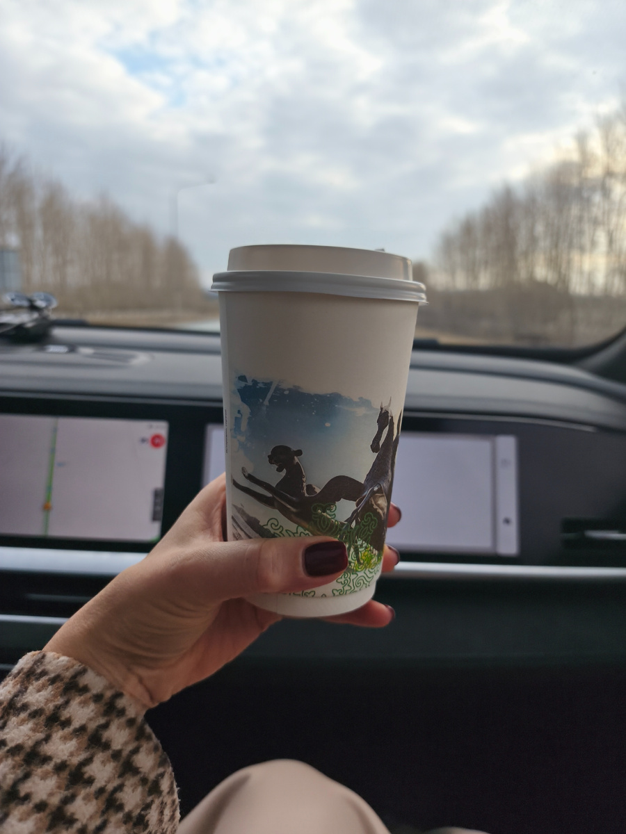 Дорожный капучино