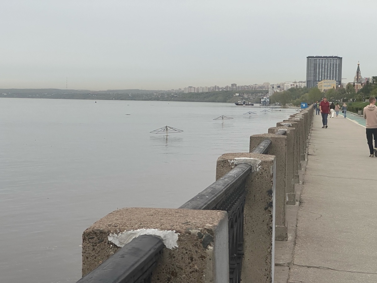    Фото: Яна Лаушкина