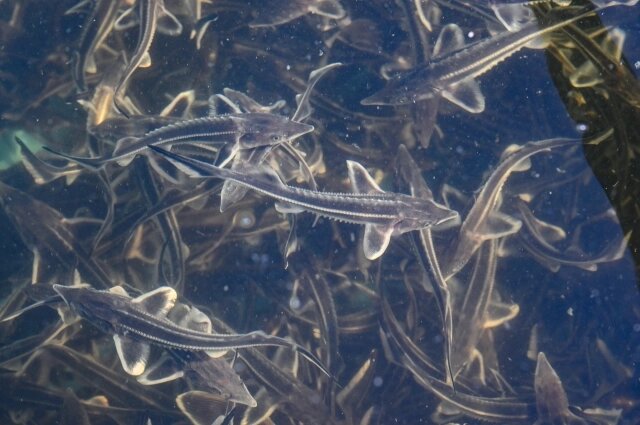    Фото: Правительство Тверской области