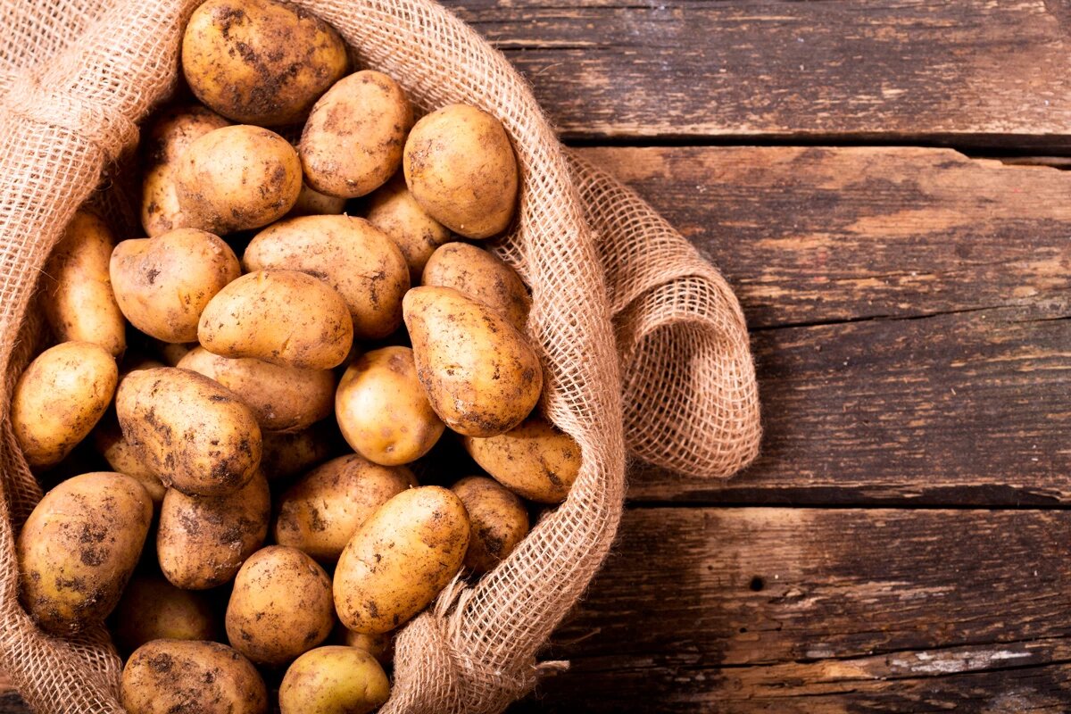    Фото: Nitr / Shutterstock.com