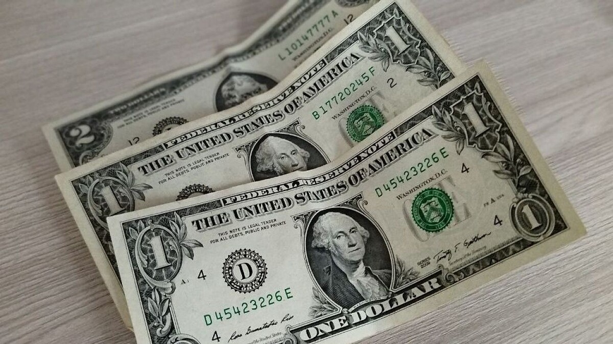    Фото: телеканал «Краснодар»