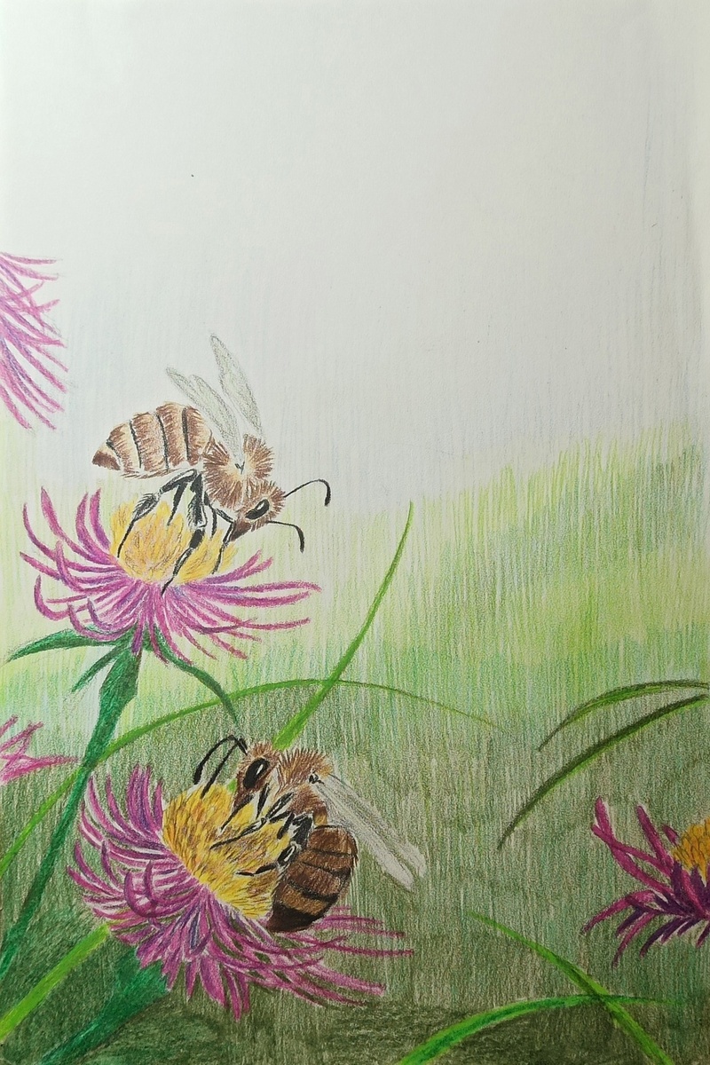 Архивная работа, даже не помню, когда я ее рисовала, наверное году в 2007