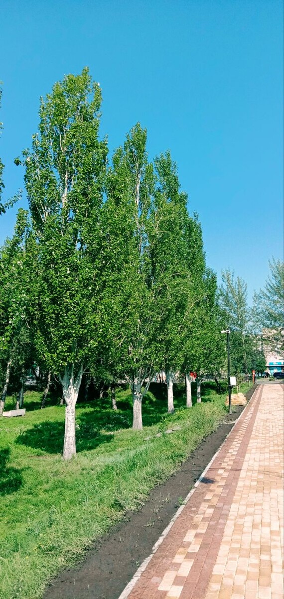 Преображенский парк в Абакане