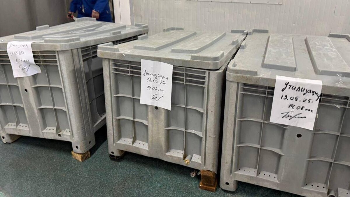    Фото: t.me/procspb