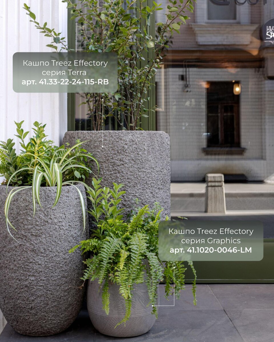 Кашпо Treez Collection