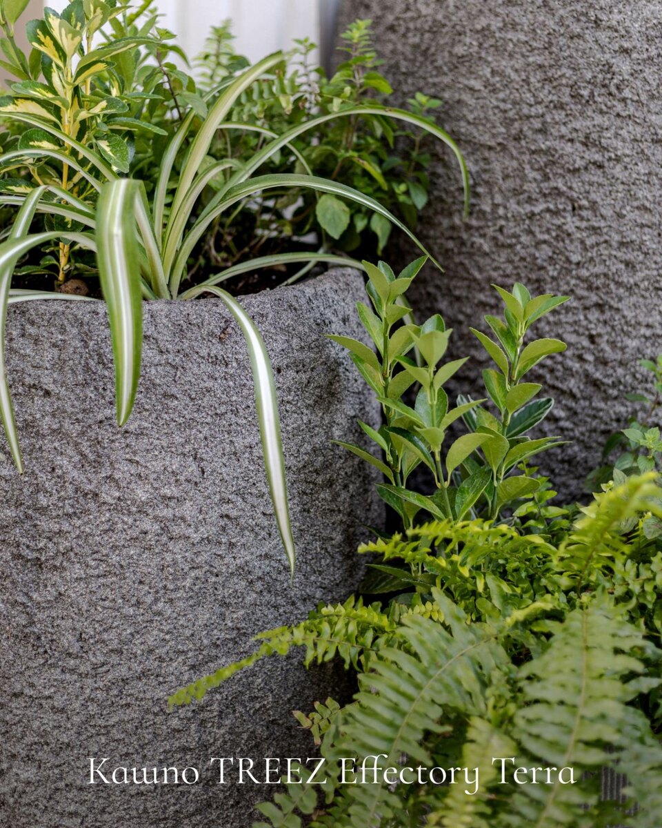 Кашпо Treez Collection