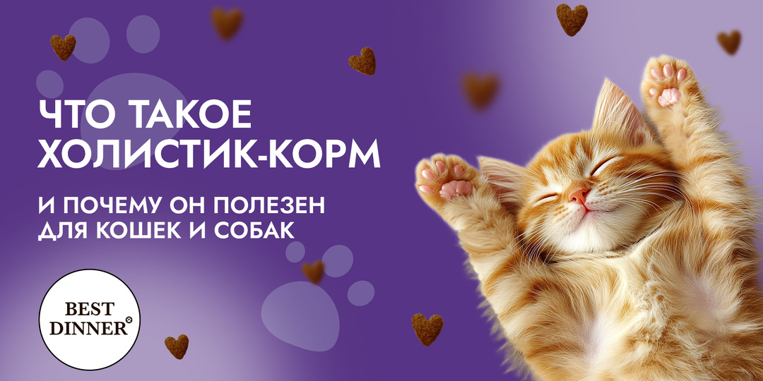 Что такое холистик-корм и почему он полезен для кошек и собак