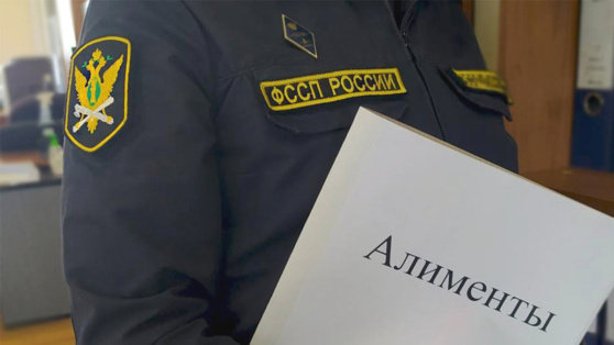    Реестр неплательщиков алиментов полноценно заработает в РФ Татьяна Сидорова