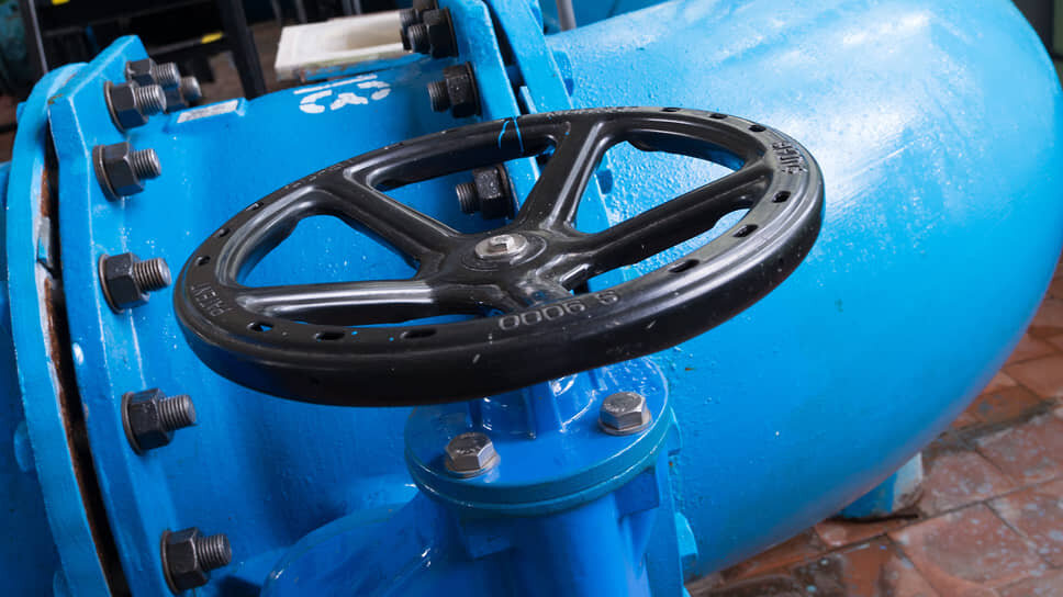 Фото: Олег Харсеев / Коммерсантъ