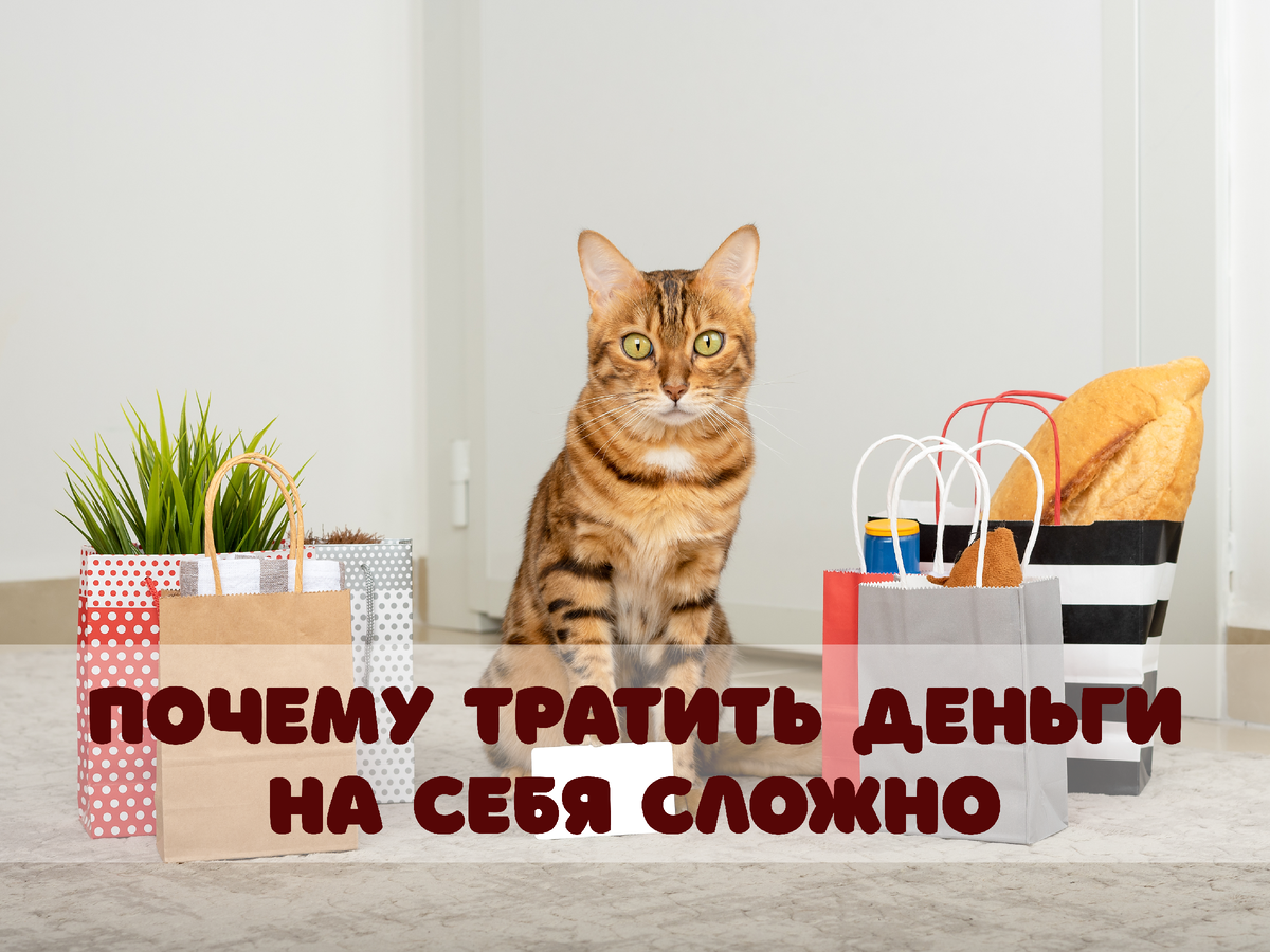 Фото: Svetlana Rey / Shutterstock