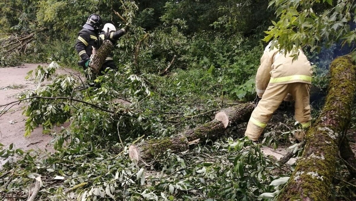     Автор: 69.mchs.gov.ru