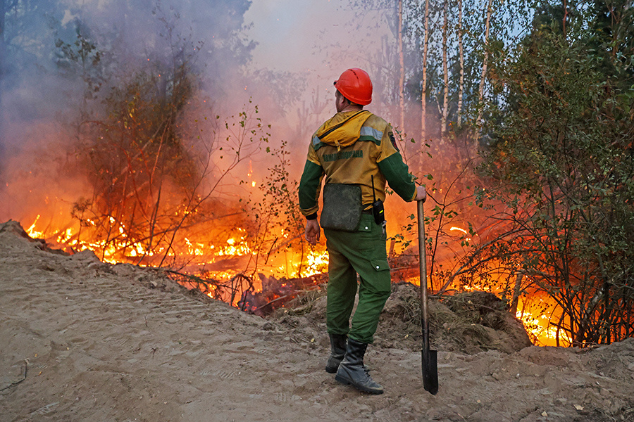    © Александр Рюмин/ТАСС