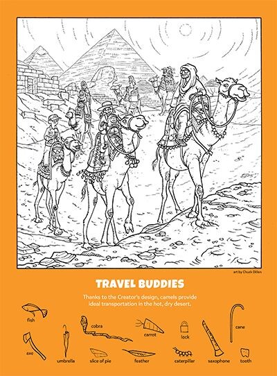 Картинка из свободного доступа в интернете