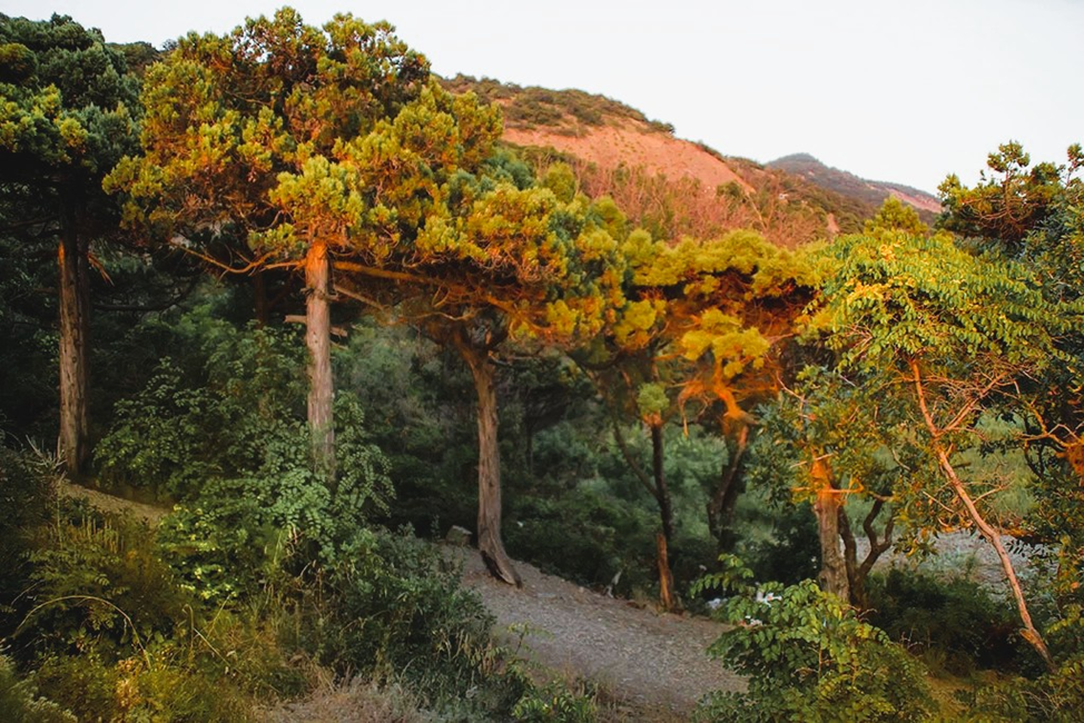 Заповедник Большой Утриш