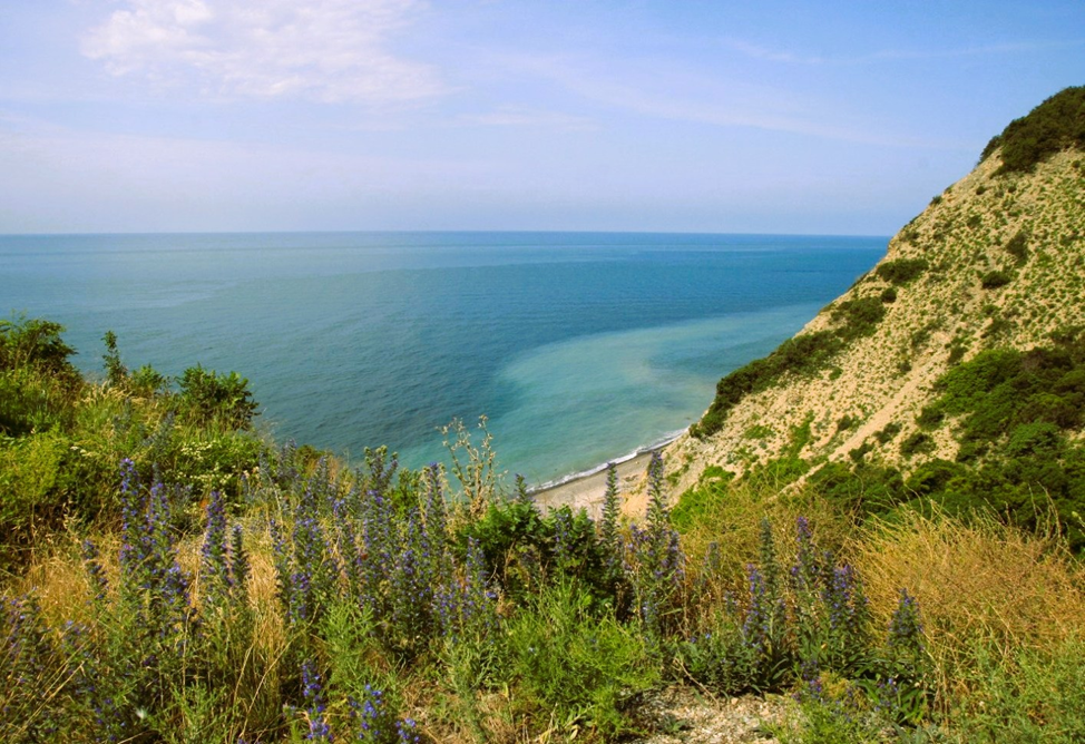 Вид на море