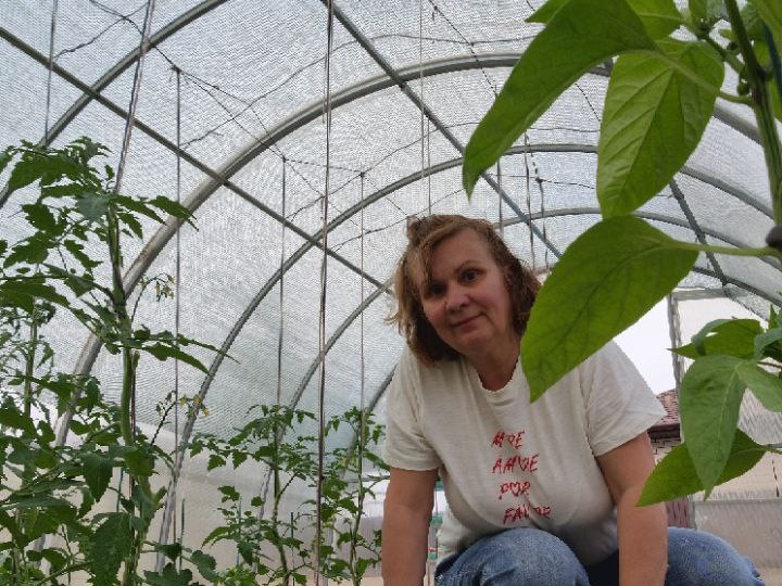 Хотите томаты слаще магазинных? 5 обязательных процедур ухода