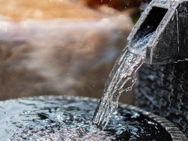    Фото: 123RF/kunlathida6242