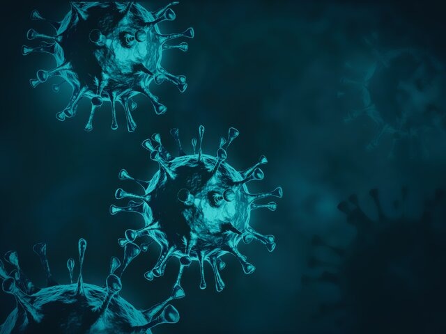    Фото: 123RF/romk123rf