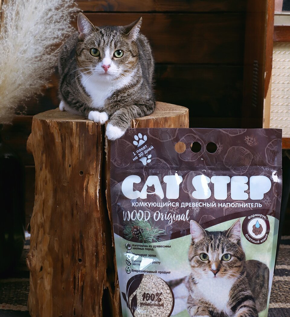 Люди любой ценой оберегали покой своих задремавших мурлык на протяжении всей человеческой истории. 